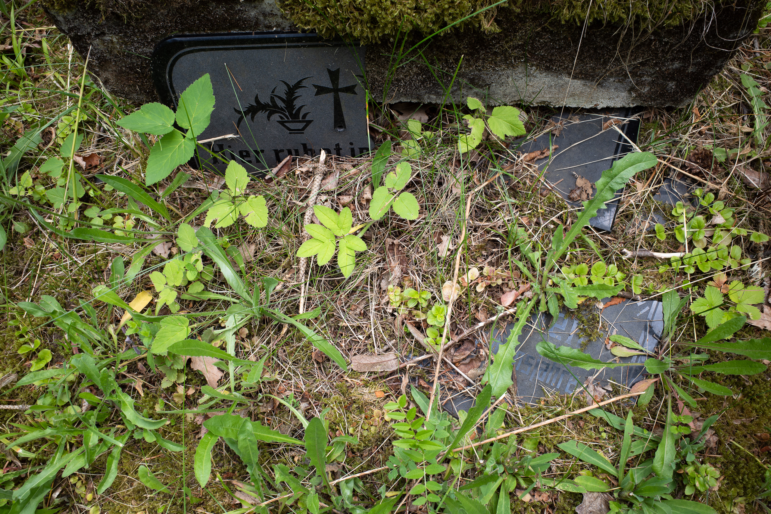 Der Regen nähert sich – Fahrt zum Elbtal